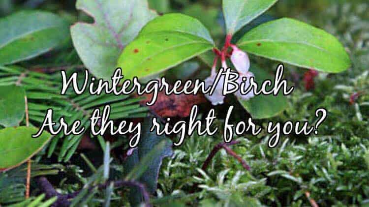 Fun Fact Friday – Wintergreen Essential Oil Safety