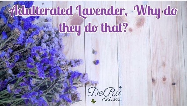 Fun Fact Friday – Adulterated Lavender, Why do they do that?