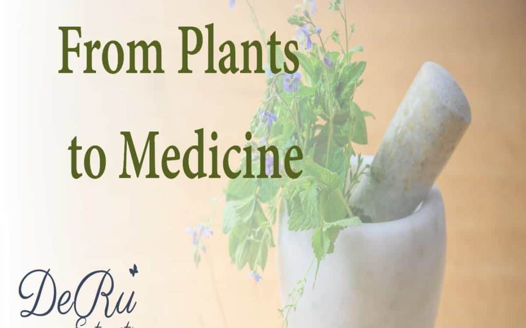 Fun Fact Friday – From Plants to Medicine