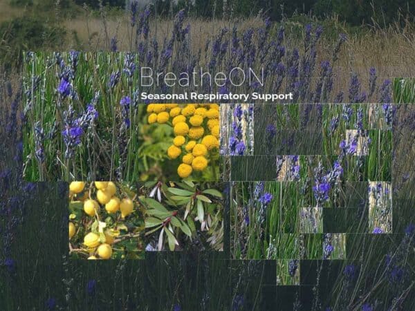 BreatheON by DeRu Extracts