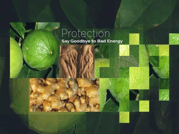 Protection by DeRu Extracts
